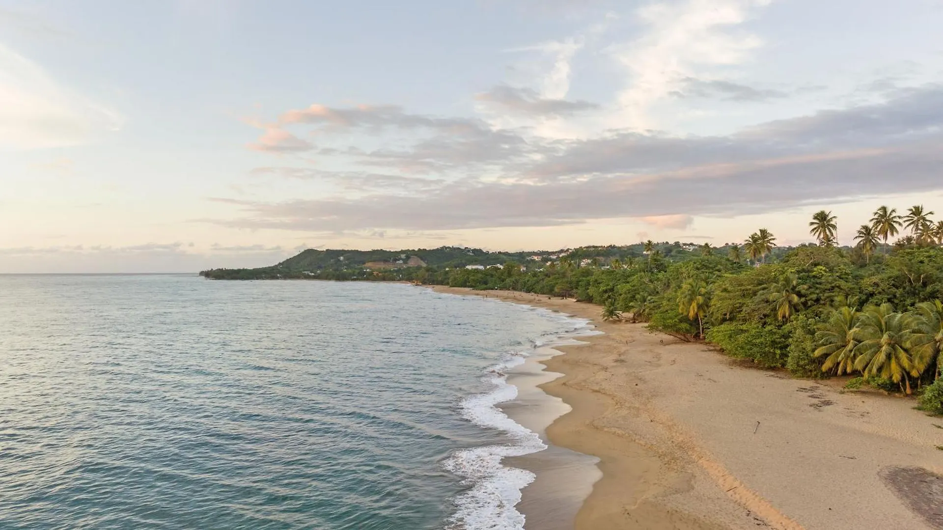 Casa Loba Luxe Unit 3 With Private Pool Apartment Rincon